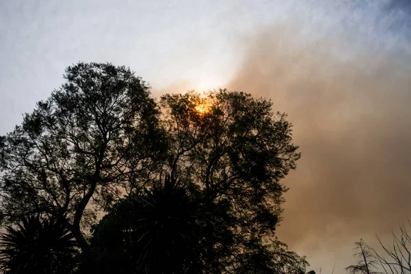 Australian bushfire: trees silhouettes and smoke from bushfires covers the sky and glowing sun barely seen through the smoke. Catastrophic fire danger, NSW, Australia — Stock Photo, Image