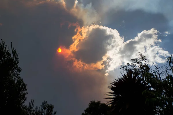 Fogo australiano: árvores silhuetas e fumaça de incêndios florestais cobre o céu e sol brilhante mal visto através da fumaça. Perigo de incêndio catastrófico, NSW, Austrália — Fotografia de Stock