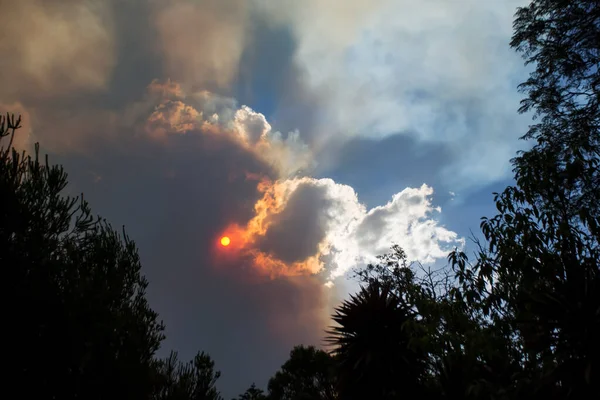 Австралийский лесной пожар: силуэты деревьев и дым от лесных пожаров покрывают небо и светящееся солнце, едва видимое сквозь дым. Катастрофическая пожарная опасность, NSW, Австралия — стоковое фото
