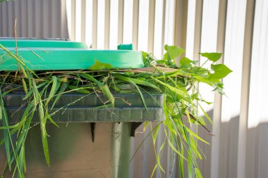 Bahçe atıklarıyla dolu yeşil konteynır. Daha iyi bir çevre için çöplerin geri dönüşümü.