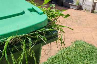 Bahçe atıklarıyla dolu yeşil konteynır. Daha iyi bir çevre için çöplerin geri dönüşümü.