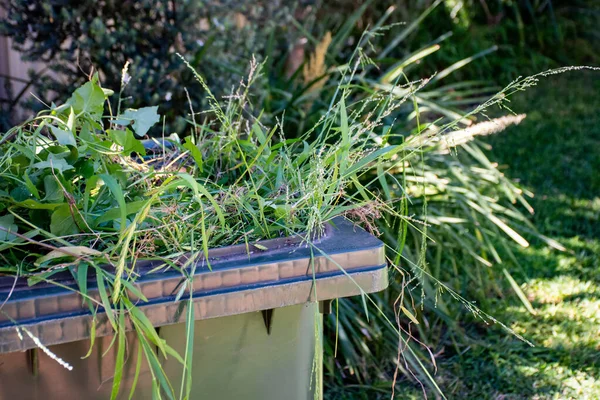 Recipiente de lixo verde cheio de lixo de jardim. Reciclagem de lixo para um ambiente melhor . — Fotografia de Stock