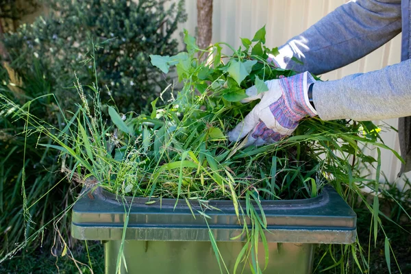 Recipiente de lixo verde cheio de lixo de jardim. Mãos usando luvas de jardinagem fazendo primavera limpar no jardim. Reciclagem de lixo para um ambiente melhor . — Fotografia de Stock