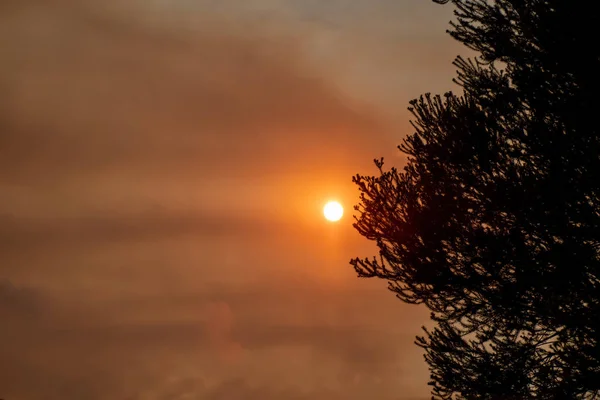 Австралийский лесной пожар: дым от лесных пожаров покрывает небо и светящееся солнце едва различимо сквозь туман. Катастрофическая пожарная опасность, NSW, Австралия — стоковое фото
