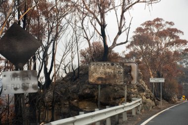 Avustralya çalı yangınları: yanmış yol işareti ve Blue Mountains yolunun yanındaki okaliptüs ağacı.