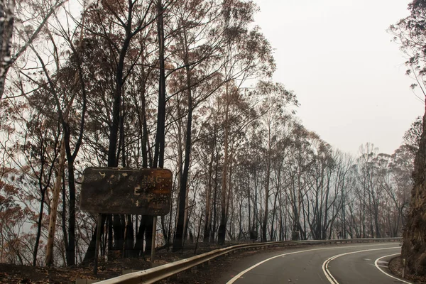 Australische bosbranden: Verbrand verkeersbord en eucalyptusboom bij de weg bij Blue Mountains. — Stockfoto