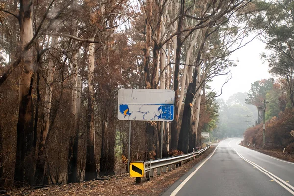 Kebakaran semak Australia: tanda api jalan terbakar dan pohon eukaliptus di dekat jalan di Blue Mountains . — Stok Foto