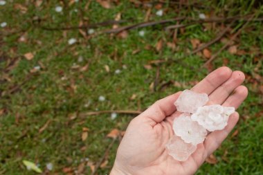Sidney, Avustralya 'daki şiddetli dolu fırtınasından sonra elleri dolu dolu tutuyor.