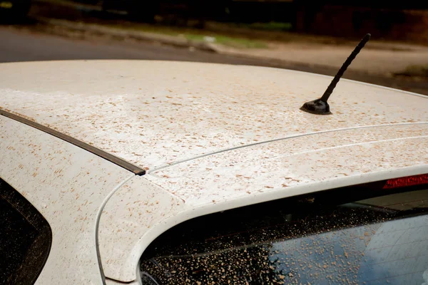 Biały samochód pokryty kurzem po burzach pyłowych w Sydney, Australia — Zdjęcie stockowe
