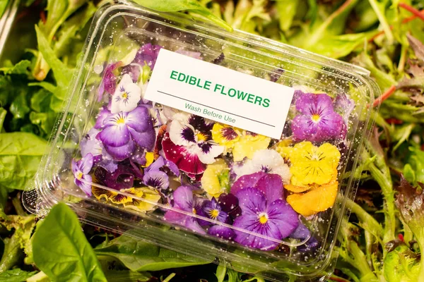 A punnet of oraganic edible flowers on a leafy salad green background. Suitable for salads or cake decorating, Healthy eating concept — 스톡 사진
