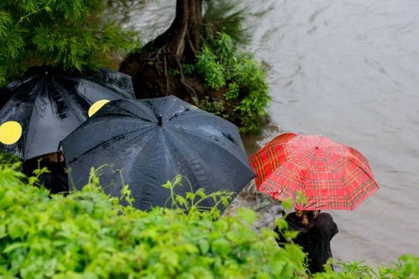 People with umbrellas under the heavy rain looking at the flood