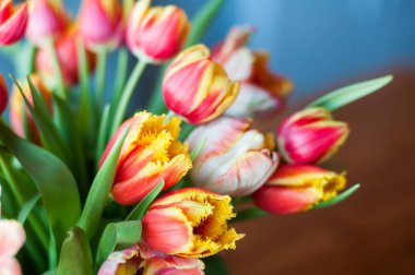 Seçici odaklı güzel renkli laleler buketi ve bokeh. Hediye konsepti