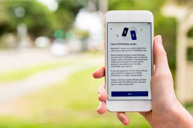 Sydney, Avustralya 2020-04-26 Hand CovidSafe uygulamalı bir telefon tutuyor. CovidSafe 'in nasıl tarif ettiğini. Avustralya Hükümeti yeni COVID-19 izleme uygulamasını tanıttı
