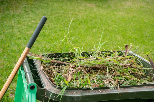 Contenedor Basura Verde Lleno Residuos Jardín Reciclar Basura Para Mejor —  Fotos de Stock