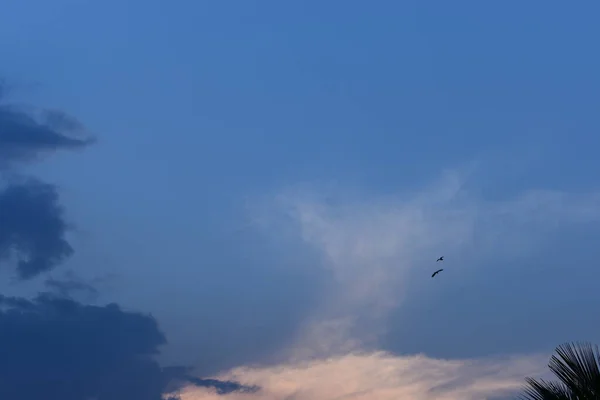 Блакитне Небо Білими Хмарами Фон Природи — стокове фото