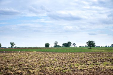 Mavi gökyüzü ve bulutlu tarım çiftliği.