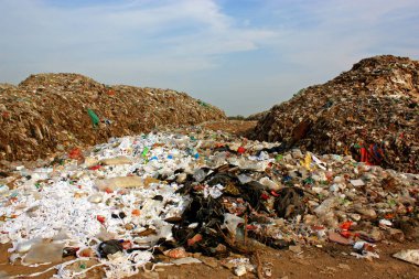 Belediye çöplüğü çöplükte. Çevre kirliliği.