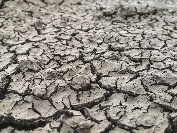 Texture di terra crepata essiccata. A causa della stagione delle piogge e della siccità . — Foto Stock
