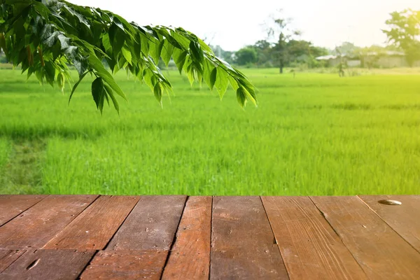 Пустой деревянный стол свободного пространства с листьями и рисовым полем в утреннем солнечном свете. Копирование места для отображения или монтажа . — стоковое фото