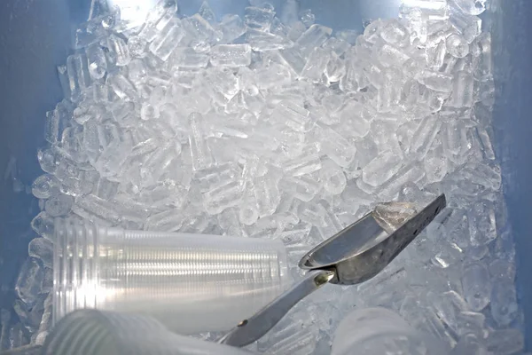 Metal ice scoop and plastic cup on the ice in bucket — Stock Photo, Image