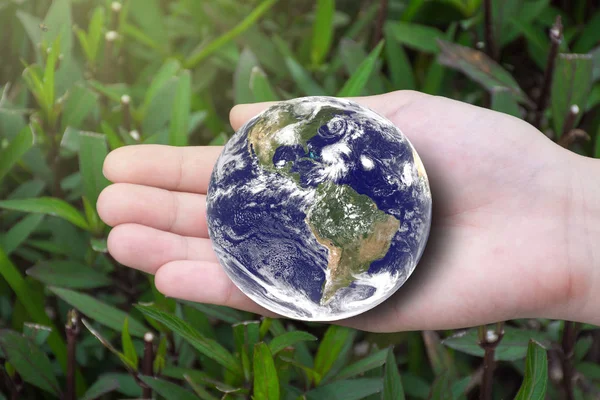 Female hands holding the earth with green leafs background. Elements of this image furnished by NAZA. — 스톡 사진