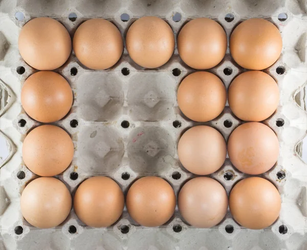 Huevos de pollo marrón en caja de cartón de papel — Foto de Stock