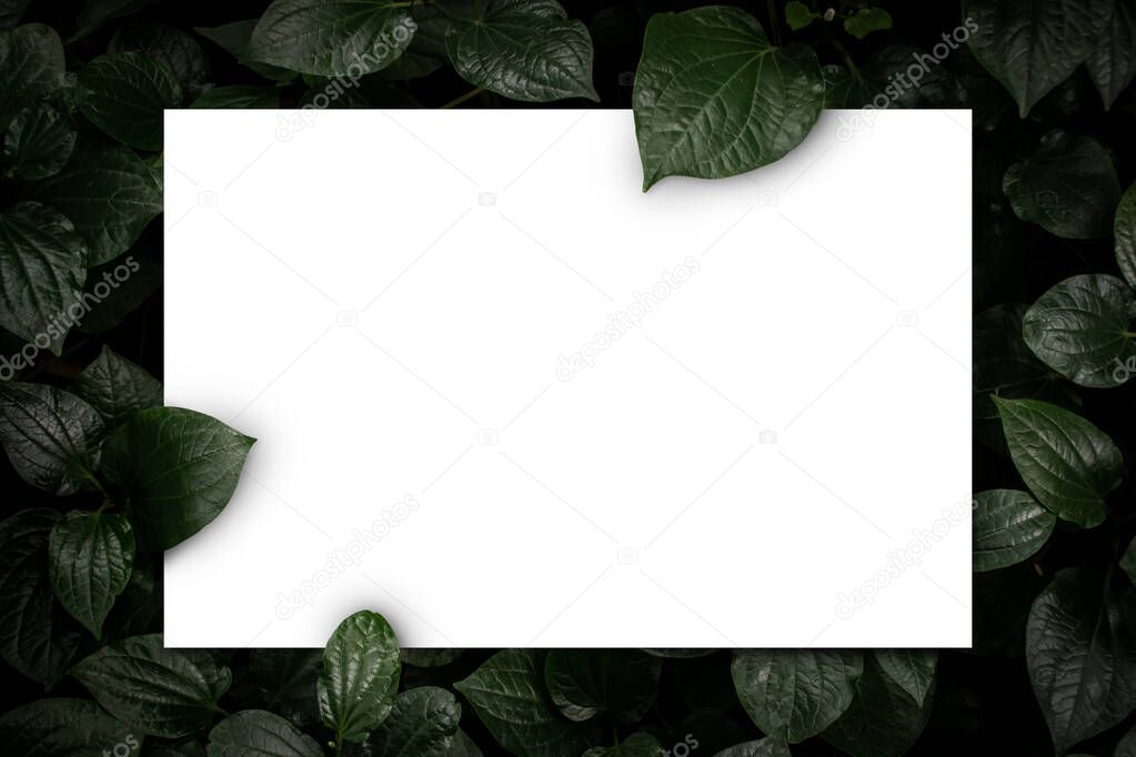 White paper card on flat lay green leaves texture top view background. Creative layout in nature concept. Copy space for your display or montage design.