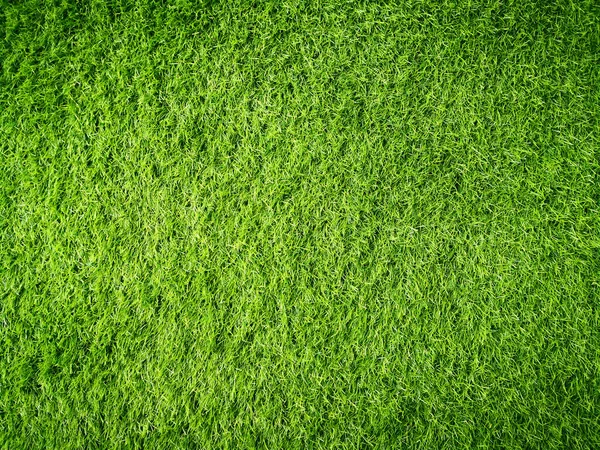 Zelená Tráva Textura Pozadí Top View — Stock fotografie