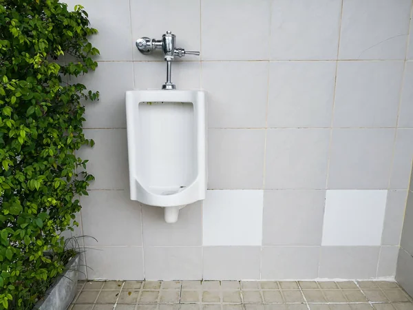 Urinale Albe Aer Liber Toaleta Bărbaților Publici Frunze Verzi — Fotografie, imagine de stoc