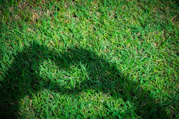 Giovane Donna Che Amore Simbolo Ombra Del Cuore Dalle Mani — Foto Stock