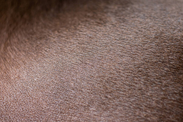 Коричневый мех
.