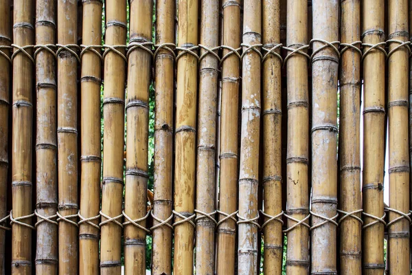 Бамбуковая Стена Текстура Фона Бамбуковый Забор Бамбуковая Палка — стоковое фото