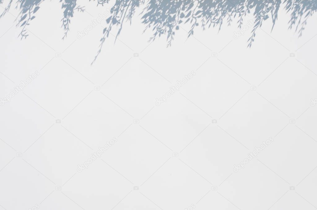 white blur background with grass shadow