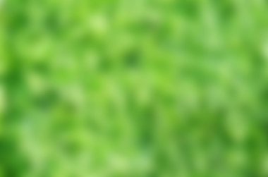 Yeşil Çimen Arkaplanı