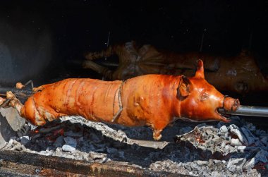 grilled pig. roasted pig clipart