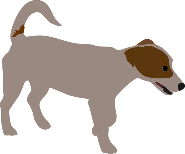 Kleiner Hund Farbvektor — Stockvektor