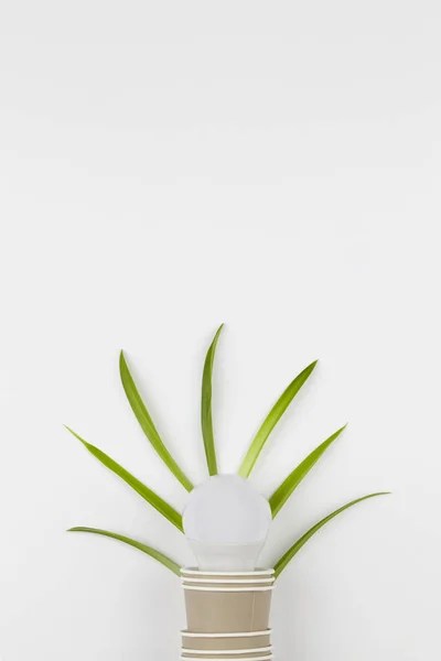 Eco ramah sekali pakai, kompostabel, cangkir kertas daur ulang dengan bola lampu dan cabang tanaman pada latar belakang putih . — Stok Foto