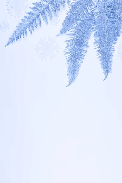 Composizione natalizia o invernale. fiocchi di neve, rami d'argento su sfondo di colore . — Foto Stock