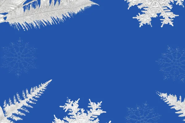 Composizione natalizia o invernale. fiocchi di neve e rami d'argento su sfondo blu . — Foto Stock