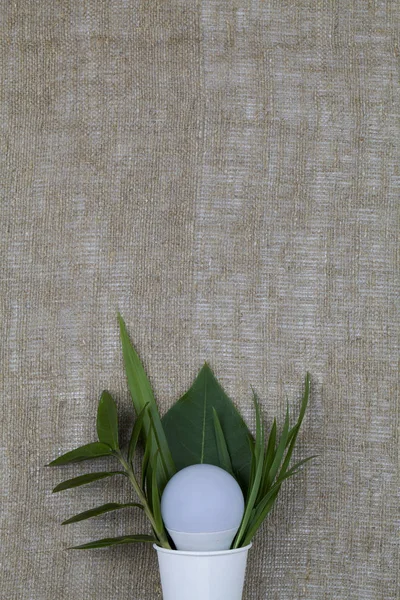 green plant branches and light bulb in eco friendly disposable, compostable, recyclable paper cup on sackcloth.