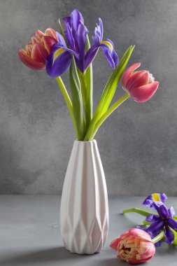 Beyaz vazoda gri arka planda kırmızı laleler ve mor süsen çiçekleri. Minimalizm tarzında sakin bir hayat.