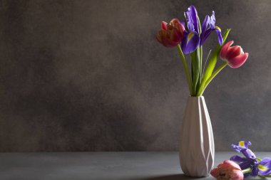 Beyaz vazoda gri arka planda kırmızı laleler ve mor süsen çiçekleri. Minimalizm tarzında sakin bir hayat.