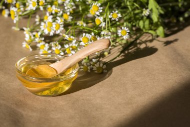 Güzel sarı papatyalar ve kahverengi arka planda gölgesi olan bal. Kopyalama alanını kapat