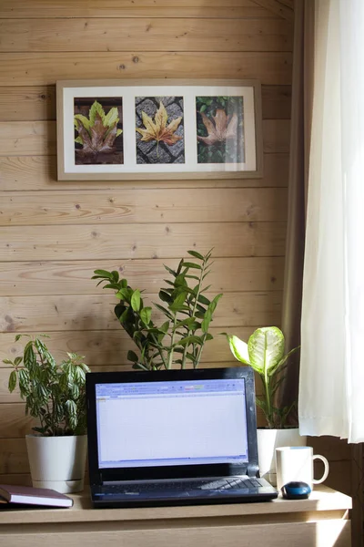 Casa Mesa Escritório Com Computador Flores Café Planejador Diário Fotos — Fotografia de Stock