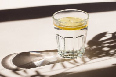 Bej arka planda limon dilimleri olan bir bardak su. Güneş ışığı ve palmiye yapraklarının derin gölgesi. Yaz limonatası, buzlu içecek, kopyalama alanı.