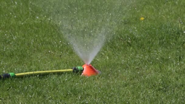 Arroseur Pelouse Pulvérisation Eau Sur Herbe Verte Système Irrigation — Video