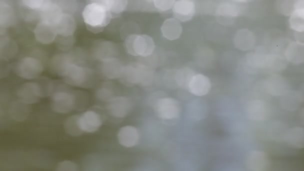 Lumières à paillettes grises mobiles, reflets lumineux déconcentrés fond bokeh 