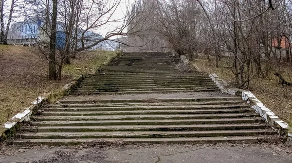 Старая лестница в парке — стоковое фото