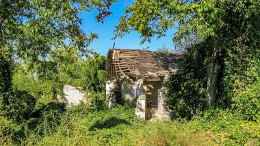 Ormandaki eski yıkık ev