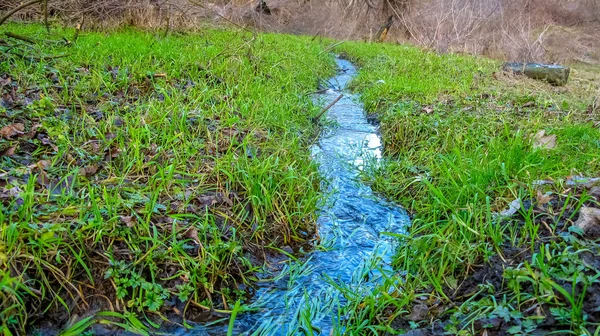 Little blue creek in the forest